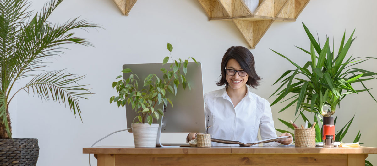 Büro einrichten mit vielen Pflanzen